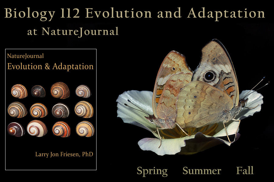  Evolution and Adaptation 